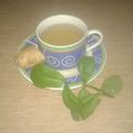 El cooksnap de Lady Marmalade cuando hizo Infusión de jengibre con un toque de menta.