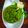 Hetal Chirag Buch's cooksnap of when they made લીલા લસણ ફુદીના ચટણી (Lilu Lasan Pudina Chutney Recipe In Gujarati).