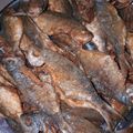 صورة من نسيم البحر 🌊، شاركها بعد تجربة وصفة سردين محشي بنين 🐟🐟
