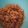 Cooksnap dari Selly Kahuluge untuk resep Abon ayam kriuk