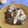 El cooksnap de Jose Carlos Gonzalez Garcia cuando hizo Risotto Ibérico.