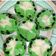 Cooksnap dari Siska Murtini untuk resep Bolu kukus