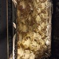 Sebestyén Ildikó Cooksnap-ja, amikor elkészítette a(z) Burgonyakarikák fasírttakaróban tejfölösen🧀🥔 receptet.