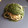 El cooksnap de Vanessa Martin cuando hizo Spaghetti verde con crema de espinaca, queso parmesano y polvo de nuez.