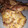 El cooksnap de DelicIANNcook cuando hizo Chuletas de cerdo a la mostaza.