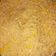 El cooksnap de Cindy Córdova cuando hizo Spaghetti con crema de jitomate.