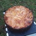 El cooksnap de Romina Paola Dillon cuando hizo Torta de manzana con Yogurt, ❤ súper esponjosa y suave.