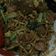 Cooksnap dari Annesthia Esha untuk resep Mie goreng praktis