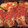 rebeccacallaghan2012's cooksnap of when they made Stuffed cabbage.