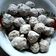 Cooksnap dari Shinta Septi Wulandari untuk resep Bakso Ayam