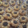 Cooksnap dari Ana Puspita untuk resep Peanut Choco Thumbprint Cookies renyah+step by step 