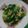 Cooksnap dari Amai untuk resep Cah pakcoy / bok choy / sawi sendok bawang putih simple 💕