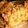 Puja Adhikary (Mistu)'s cooksnap of when they made সজনে ফুলের পকোড়া(sajne fuler pakoda recipe in Bengali).
