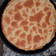El cooksnap de alexcba28 cuando hizo Tarta de acelga fácil.