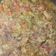 Sheffi का कुकस्नैप जब उन्होंने बैंगन का भरता (baingan ka bharta recipe in Hindi) बनाया था।