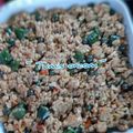 Cooksnap dari Queenza.kitchen untuk resep *tumis oncom dadakan alakadarnya*