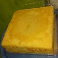 Cooksnap dari Shelfia Libra untuk resep Bolu tape kukus #masih yang polos2