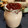 El cooksnap de Sheila D'Alessandro cuando hizo Yogur con avena y frutos rojos.