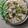 Rekha Rathod's cooksnap of when they made સૂજી/રવા ઢોકળા (Rava Dhokla Recipe In Gujarati).
