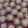 Cooksnap dari tommy wiriadi putra untuk resep Puding Roti Tawar Kukus