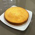 Cooksnap của Thanh Nga Hoàng khi họ làm theo món Gato sữa chua