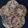 Krishna Mankad 's cooksnap of when they made બાજરા ના રોટલા(bajra na rotla recipe in Gujarati).