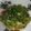 Cooksnap dari Asep Sulaeman untuk resep Tumis Kangkung Sederhana