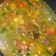Cooksnap dari Siti Khadijah untuk resep Sop Tulangan Sapi