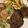 Cooksnap dari Gabriella Calvaristhy Alvionitha untuk resep Original Beef Steak