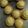 Cooksnap dari lysa podungge untuk resep Hokkaido Cheese Tart