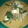 Cooksnap dari Susi Endri Yani untuk resep Gulai Telur feat daun singkong