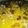 Sabina Tabassum's cooksnap of when they made Moong dal halwa.