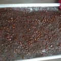 Cooksnap de Danieli dos Anjos Sartor quando cozinhou Bolo de chocolate.