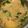 รูป Cooksnap ของ Mo Sorasak เมื่อเขาทำ แกงกะทิไก่หน่อไม้ดอง