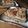 Felice's cooksnap of when they made Kiwi Crumble Bars.