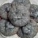 Cooksnap dari Ummu Arra untuk resep Cucur Bunga Telang