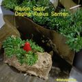 Cooksnap dari Teh Yanithea untuk resep Gadon Ayam/daging kukus santan (postingrame2_masakanbersantan)