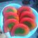 Cooksnap dari Ibu Dhea Marsya 2 untuk resep Ongol ongol singkong