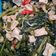 Cooksnap dari Stephanie Pupella untuk resep Tumis kangkung toge tahu