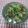 潘俊霖的(簡單料理) 的 酸菜豬肚蛤蠣湯 cooksnap