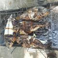 صورة من طـبخآت يآسـمـين🌹🌷، شاركها بعد تجربة وصفة سمك المشوي مارابا