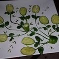 Amber Fawad's cooksnap of when they made Fresh Garden Salad.