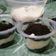 Cooksnap dari dhiera tamaiko untuk resep Oreo cheesecake