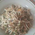 Cooksnap dari D e e untuk resep Karedok