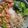 Cooksnap dari nina polke untuk resep Mie Ayam Lemon Shirataki (Gluten Free & Menu Diet)