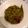 Mamtaj Begum's cooksnap of when they made বরবটি ভাজা(barbati bhaja recipe in Bengali).