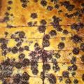 El cooksnap de Valeska Tapia cuando hizo Cheesecake frutos del bosque.
