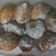Cooksnap dari JuLeeya untuk resep Donat 3 Bahan Tanpa Uleni Takaran Sendok