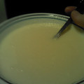 kate.thompson.5074's cooksnap of when they made Homemade Sweetened Condensed Milk.