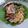 Cooksnap dari Indah Mei untuk resep Megono Tempe khas Pekalongan